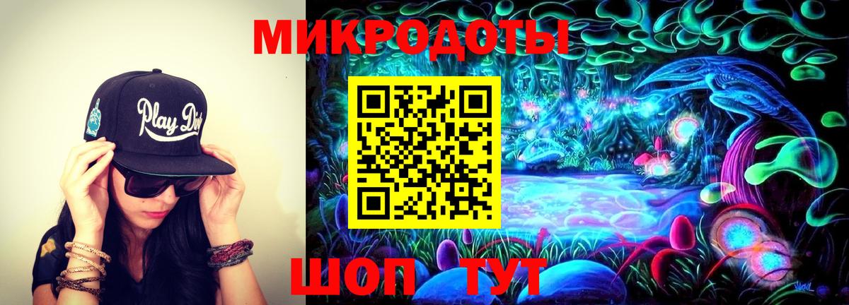 Россошь  Галлюциногенные грибы Psilocybe  как найти   Вход с VPN 