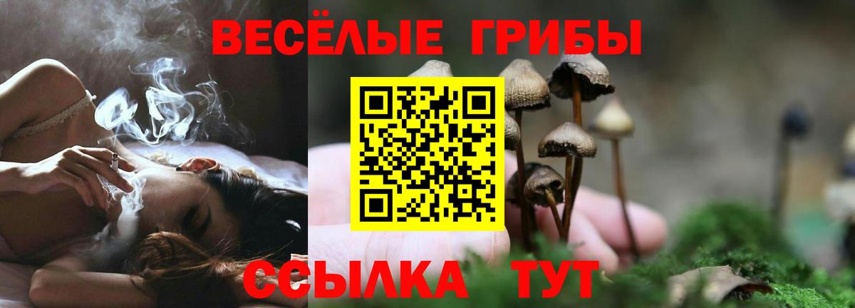 Псилоцибиновые грибы ЛСД Россошь